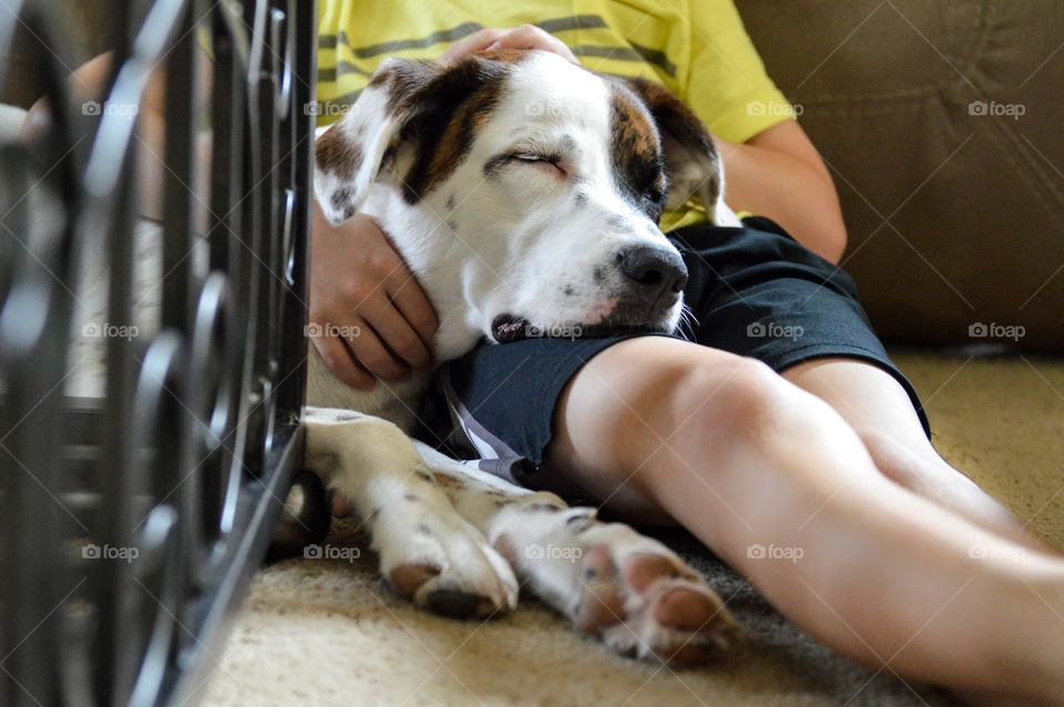 Young child relaxing and cuddling with his pet dog on the floor