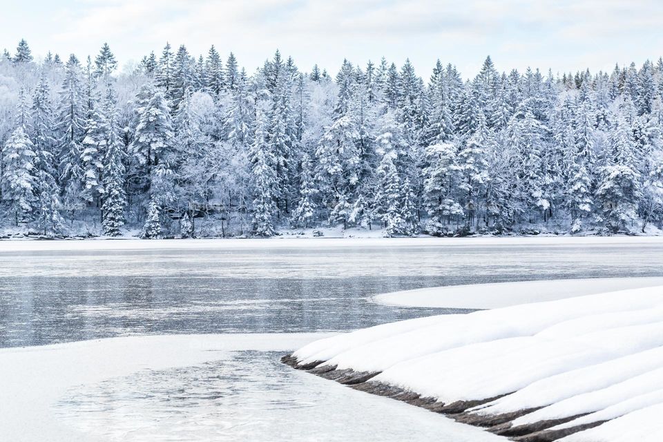 Snow covered cliffs and forest by frozen lake on a cold winter day 