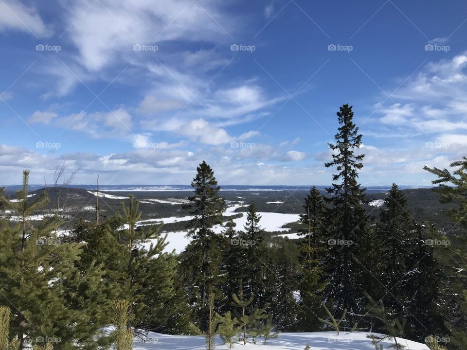 Winter landscape, Dalarna Sweden