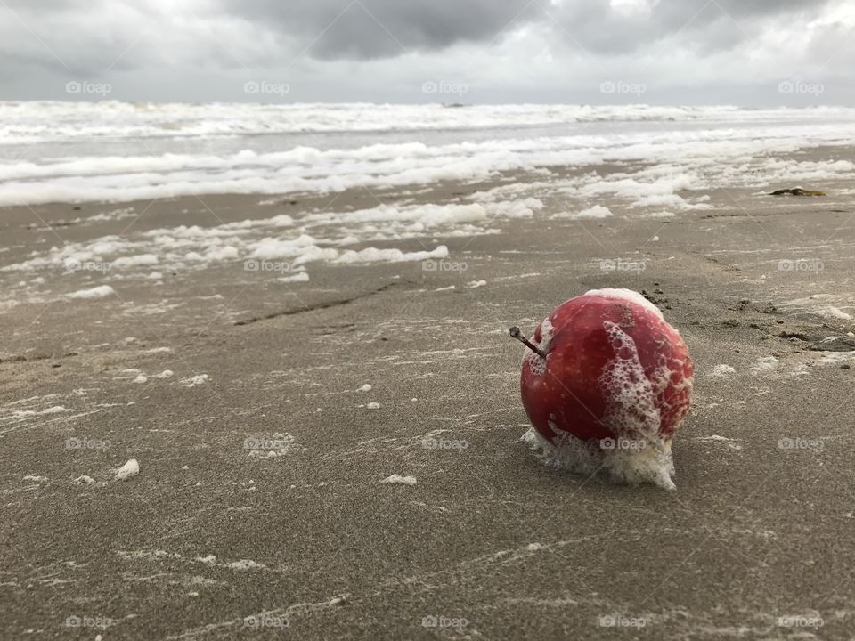 Beach, Sea, Sand, Water, Ocean