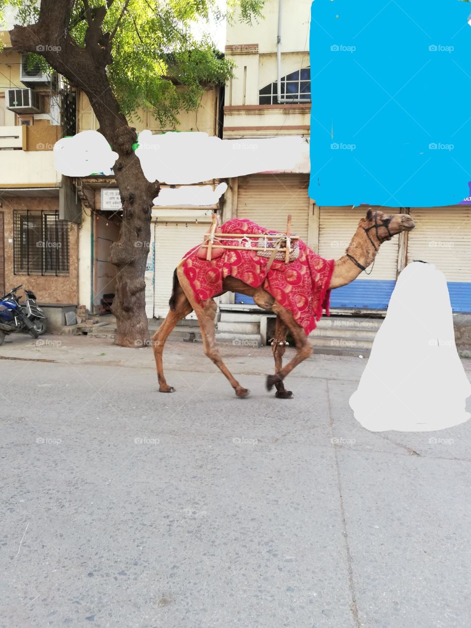 King of desert on the street of city