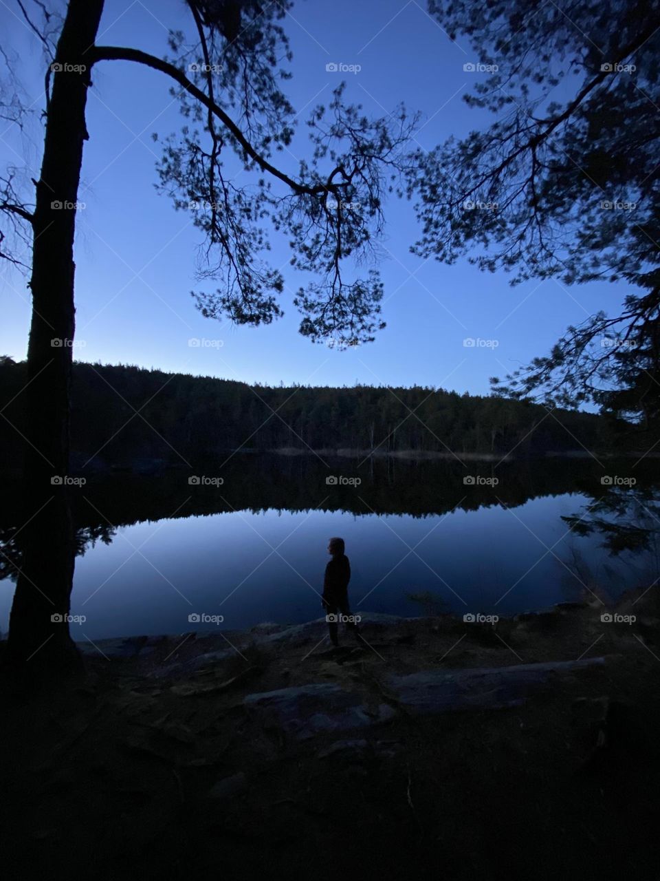 Night time at the lake