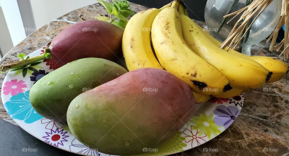Mangos and bananas. picked mangos from the tree