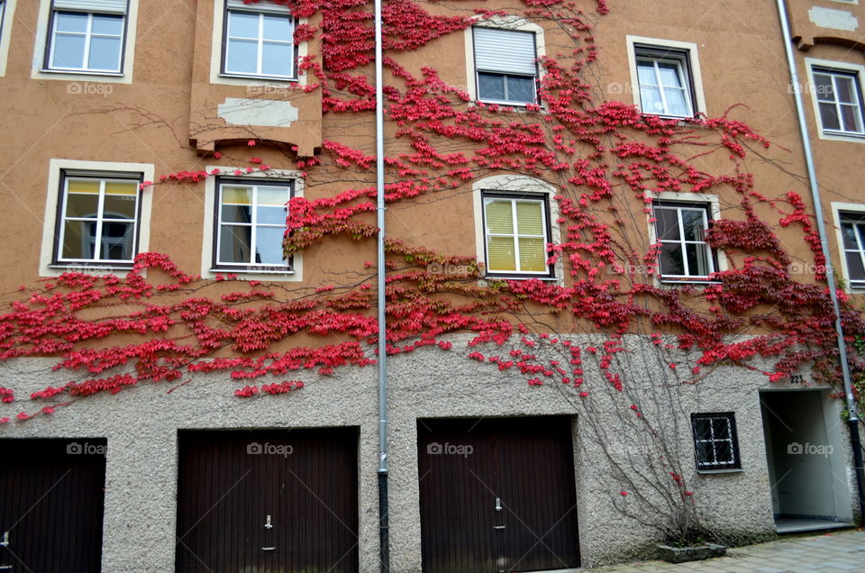 It's taking over... Burghausen,  Germany