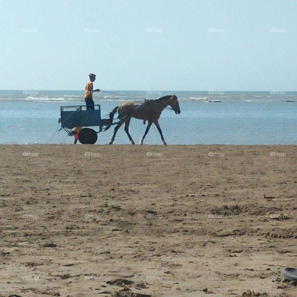  Man over horse-drawn carriage