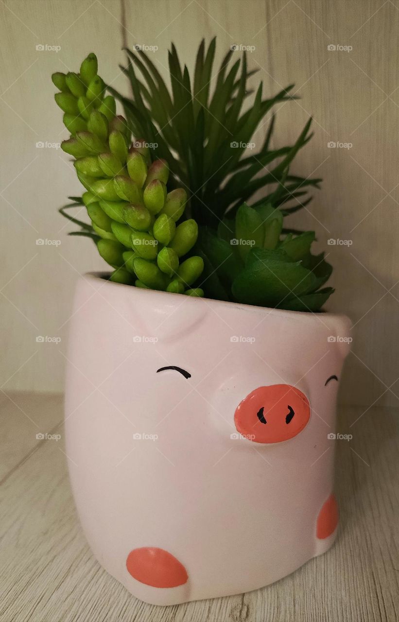 art pot in my open closet