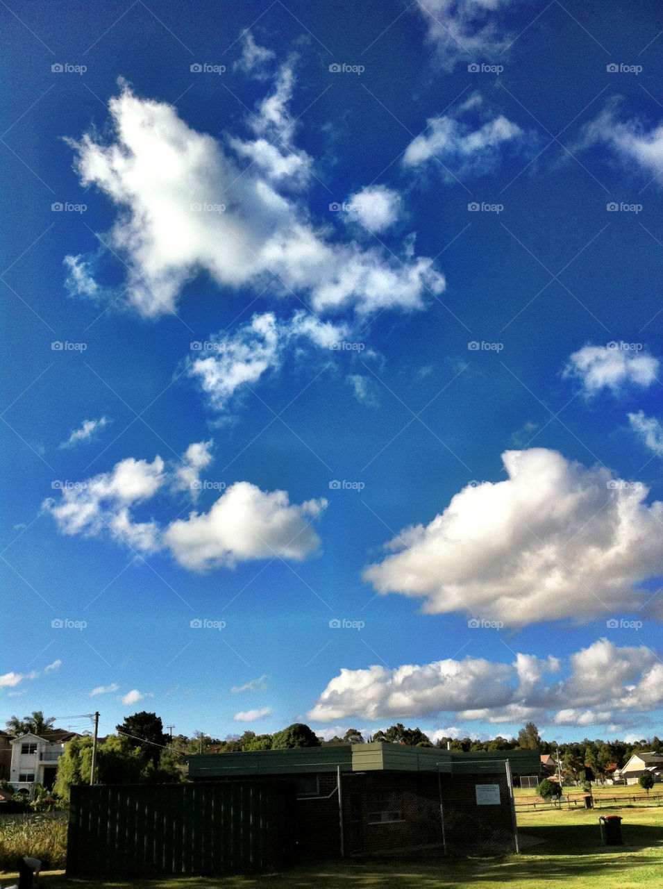 sky field nature blue by king