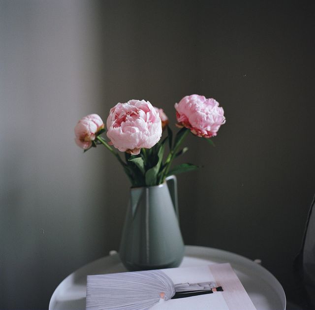 pink flower