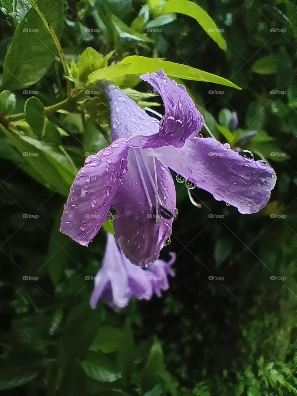 rainy time