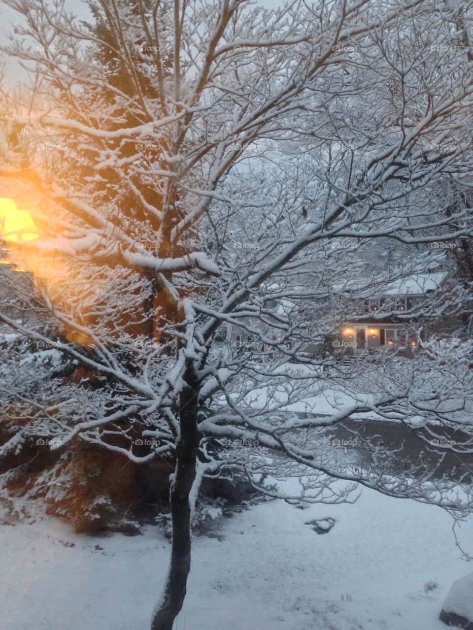 Winter Wonderland Mission