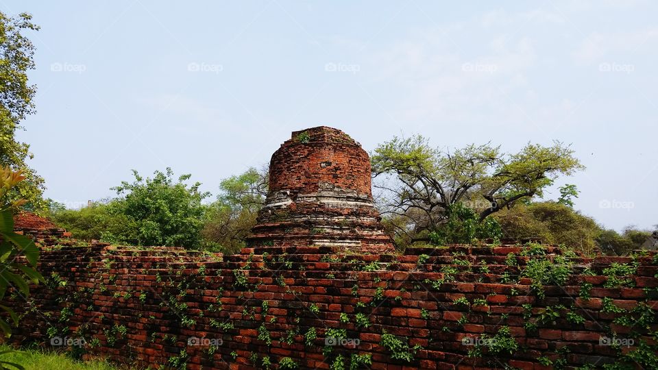 Pagoda at Ayuttaya