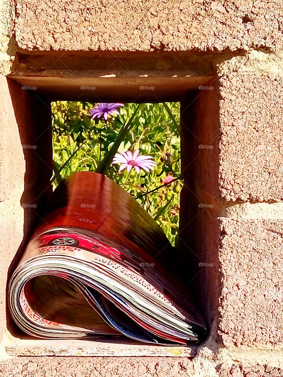 Flower shot through brick mail box !