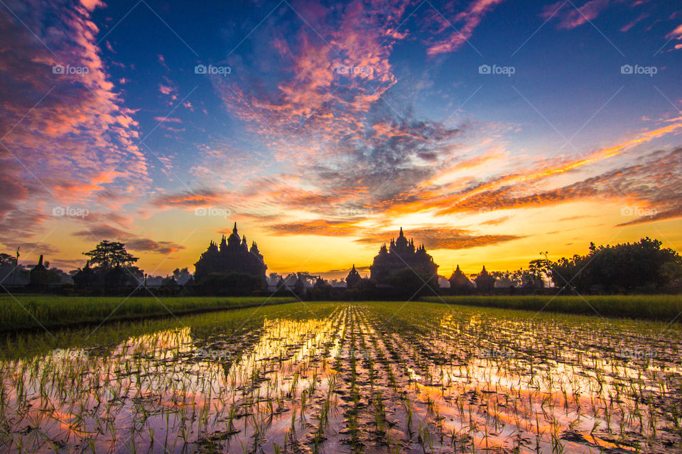 sunrise at plaosan temple,  indonesia