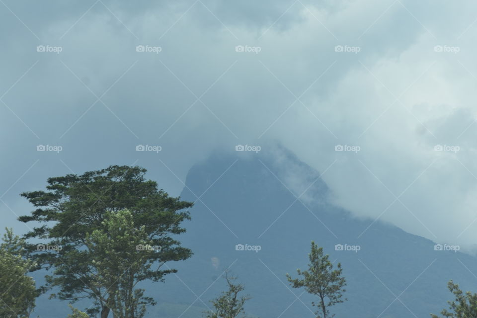 A breathtaking view through a tea astate # clouds come down to kiss and hug the mountains.. # nature  romance