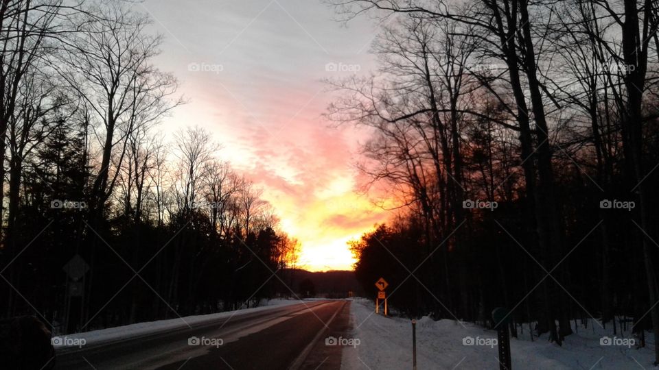 Northern Michigan 