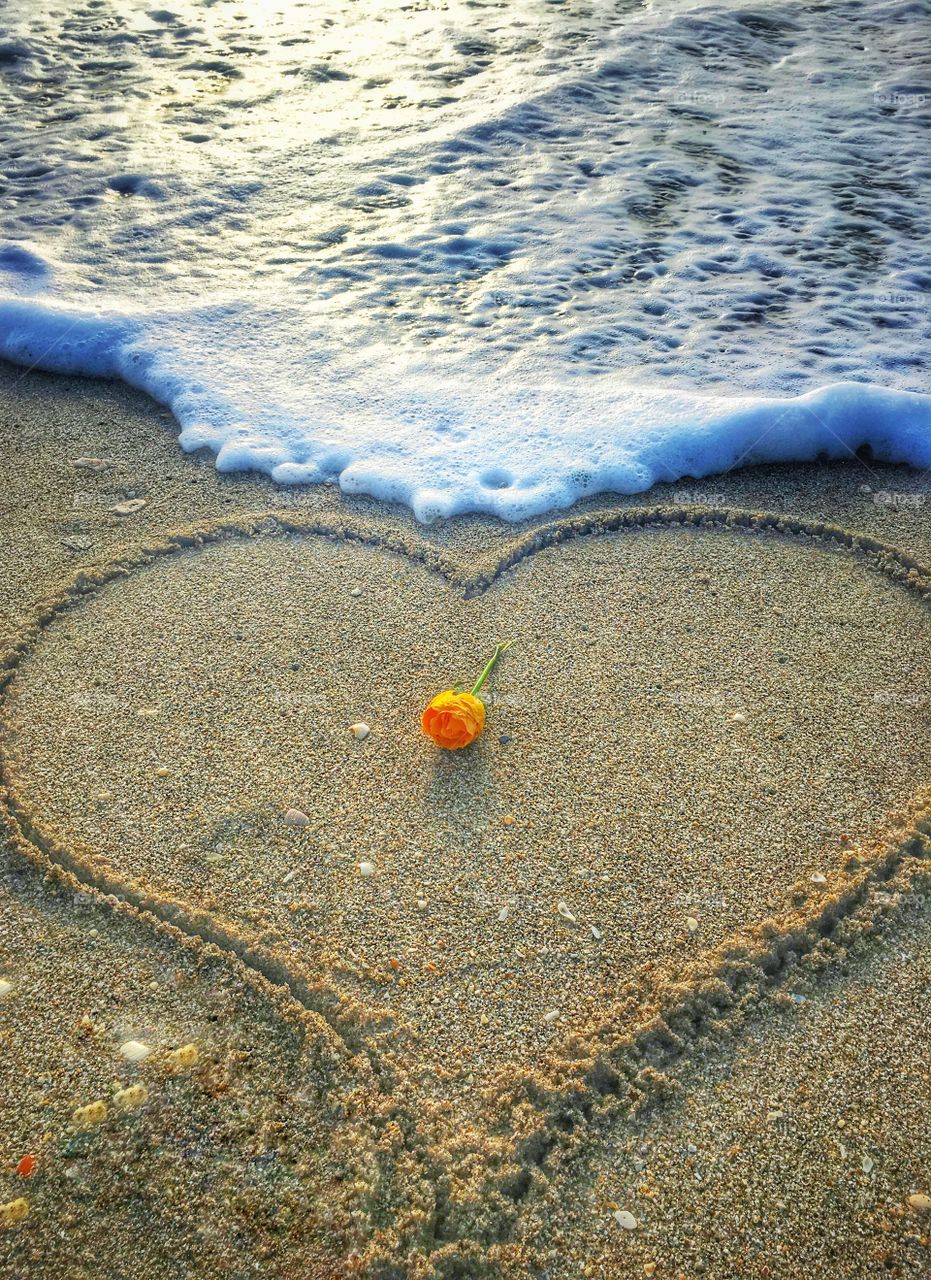 Heart drawn in the sand on a beach with a rose in the middle