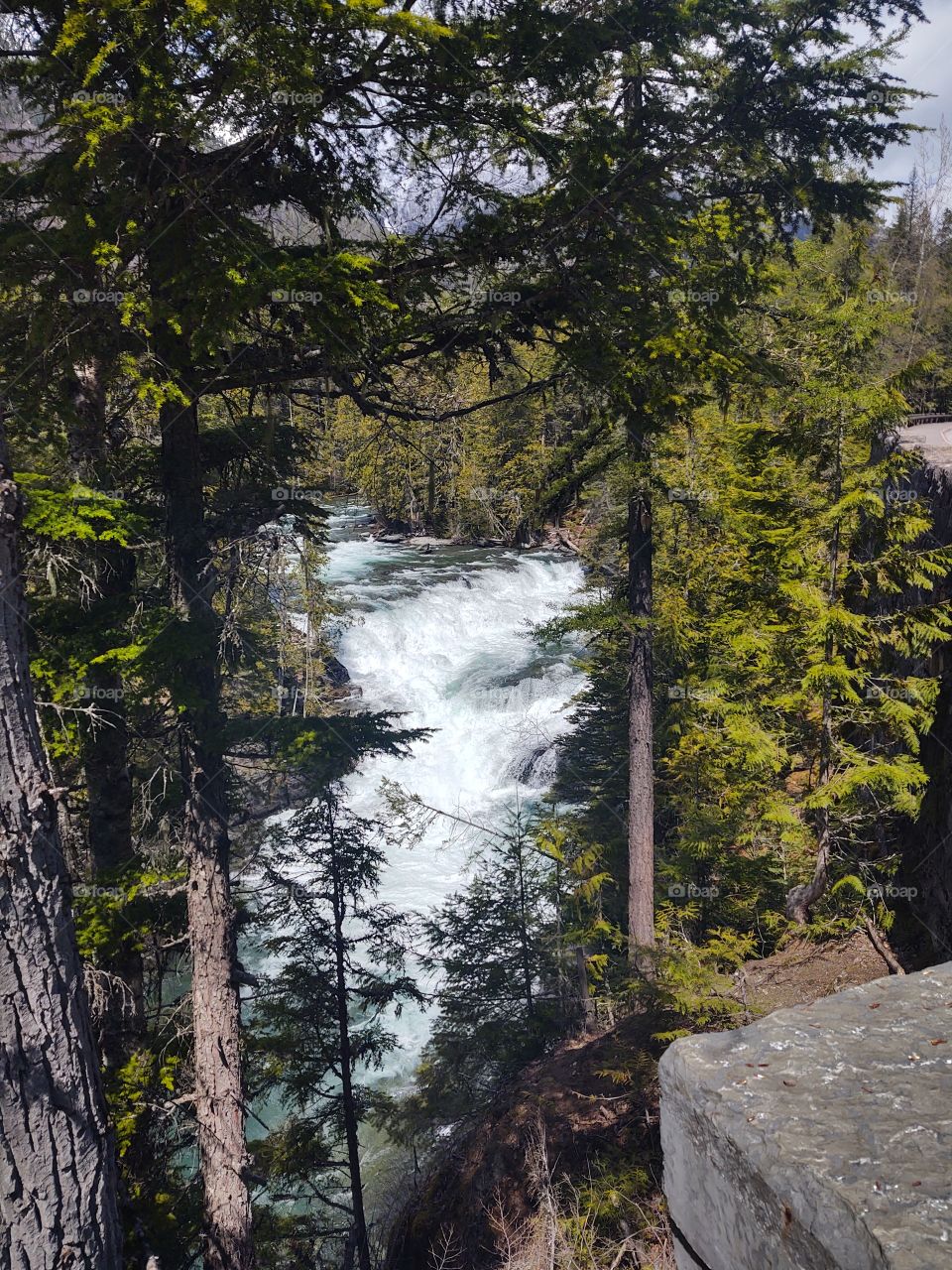 Glacier National Park