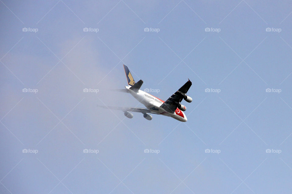 airplane through cloud. we suddenly saw an airplane flying low and it just came out of a cloud when I took the picture.