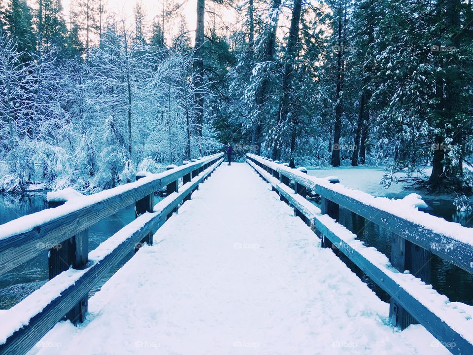 Icy Christmas morning bridge 