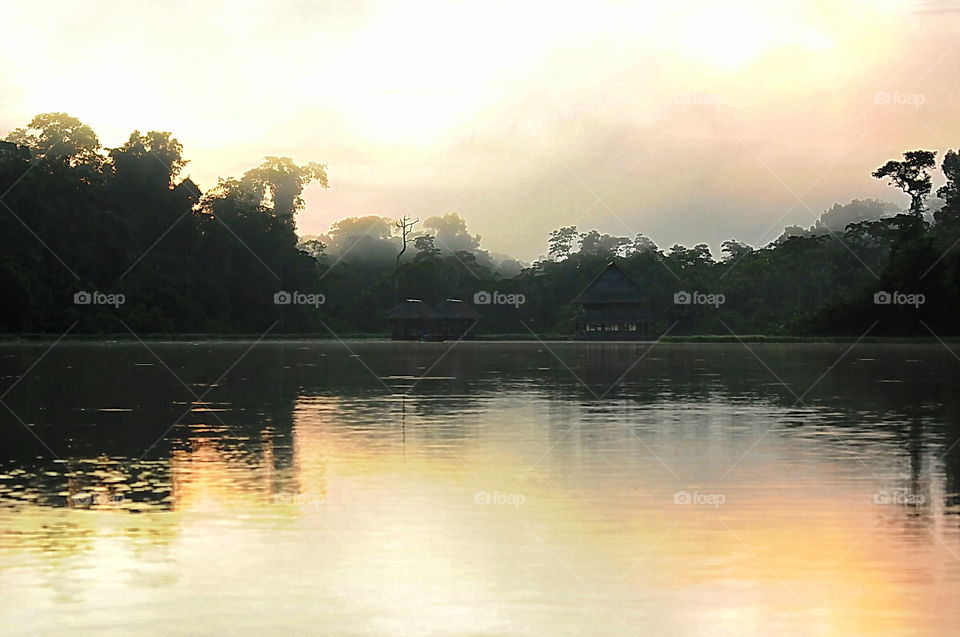 Foggy Morning at the Amazon Region of Peru Near Colombian Border.