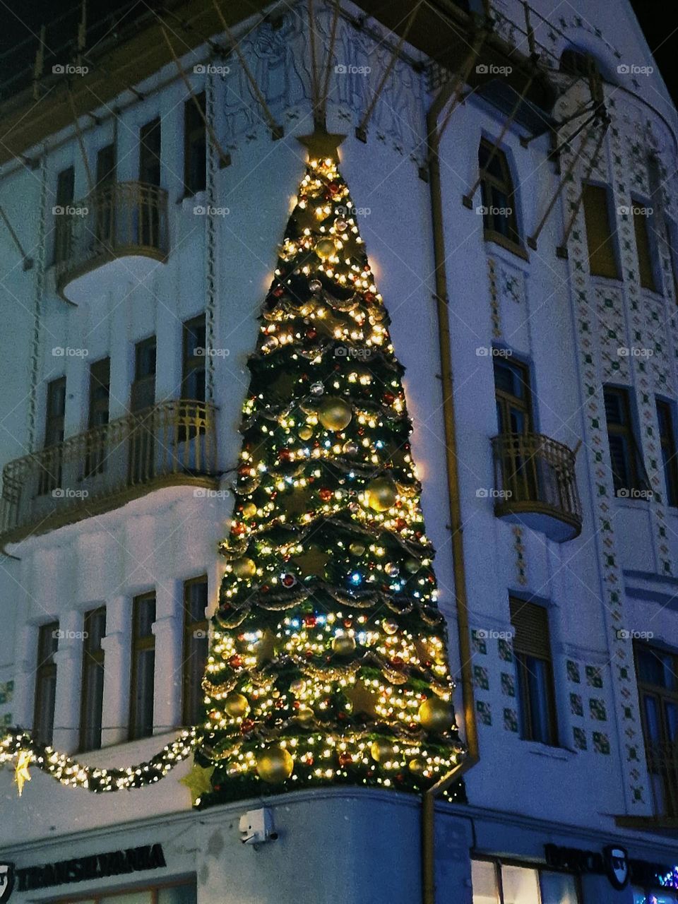 Christmas tree on the building.