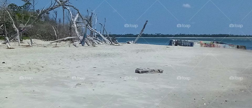 a few dead trees lying beside the foundations of an old structure on the beach