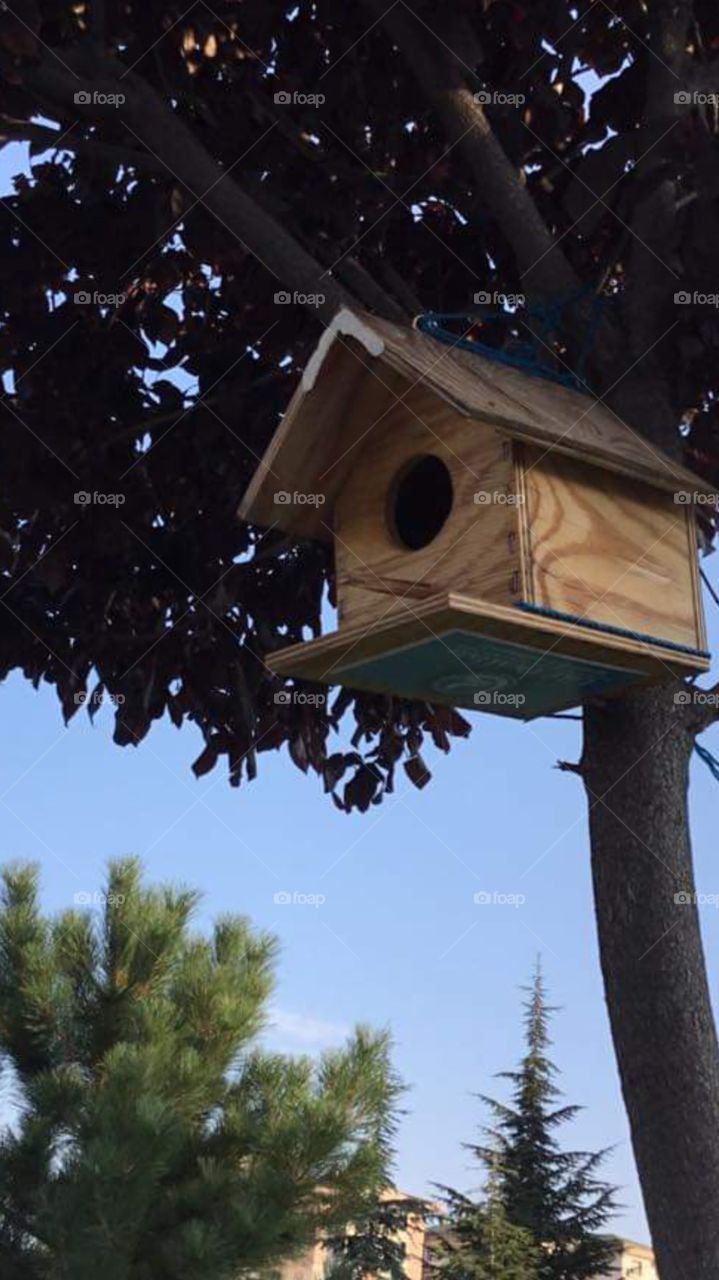 Little house for birds