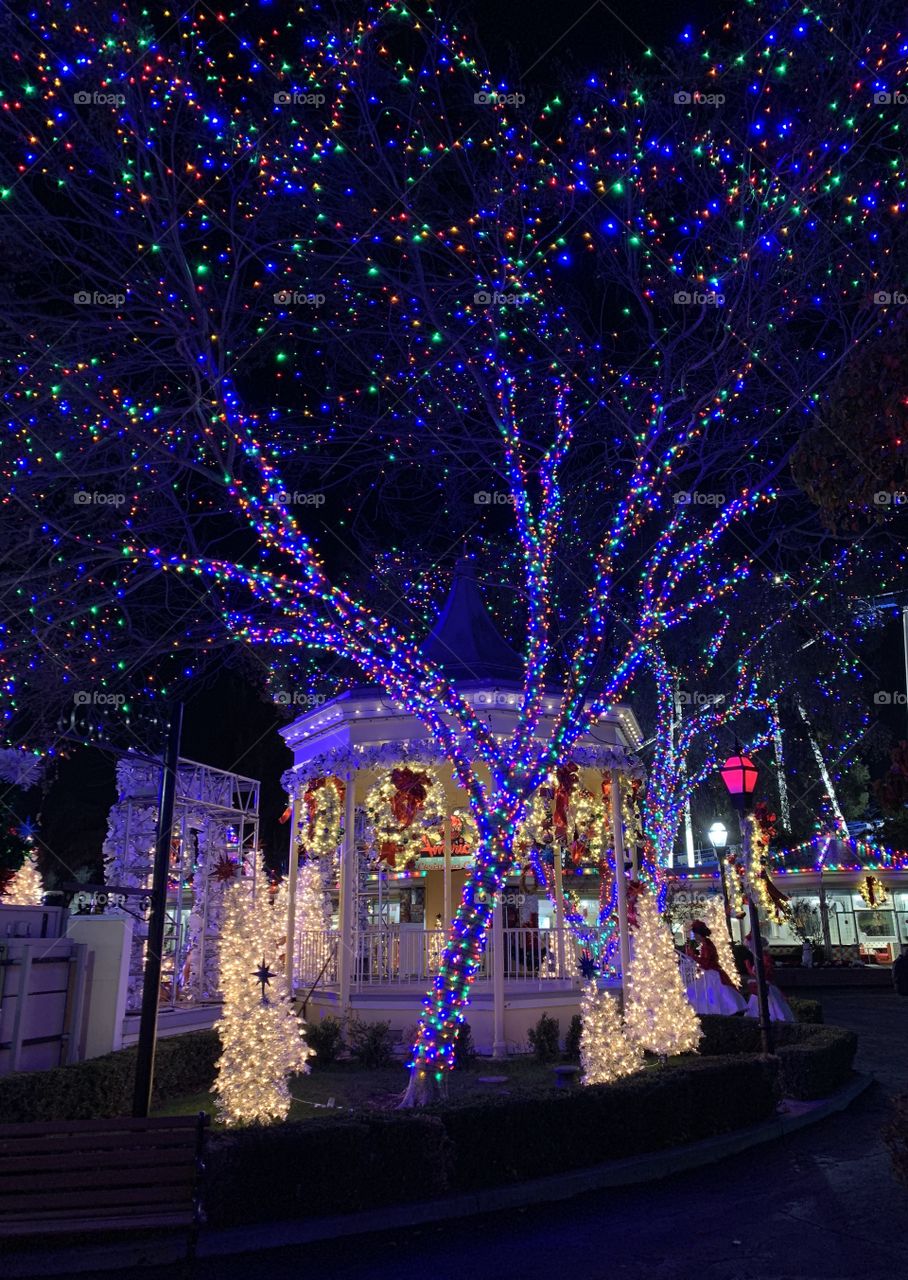 A festive area full of Christmas blue and white Lights along a path