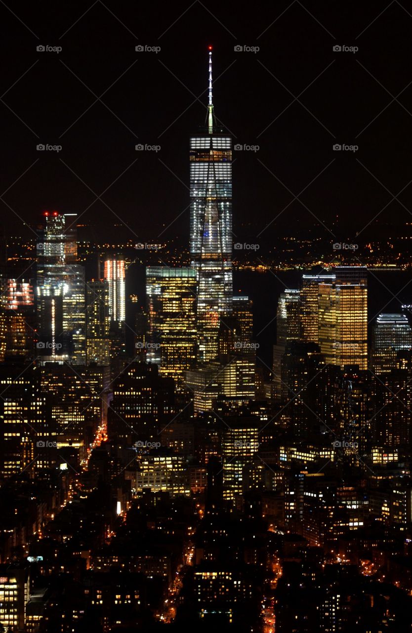 Downtown Manhattan Skyscrapers at night