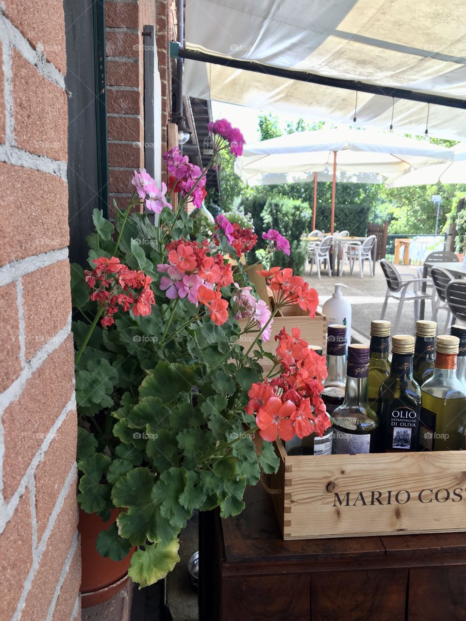 Flowers on terrace with welcome shadow 