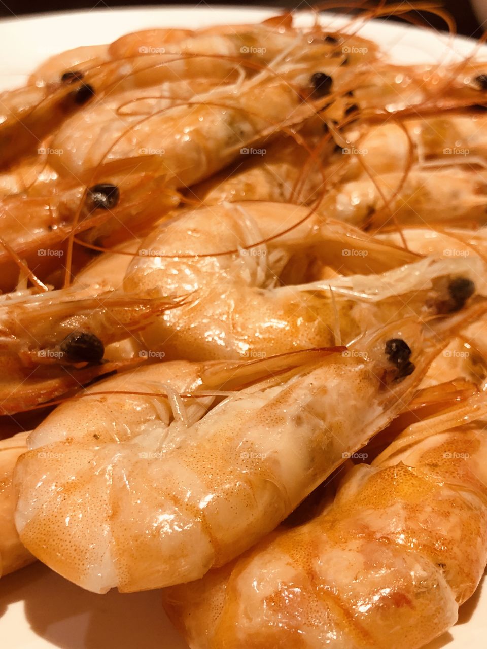 Shrimps