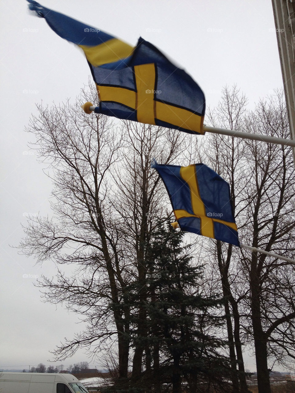 sweden yellow blue tree by liselott