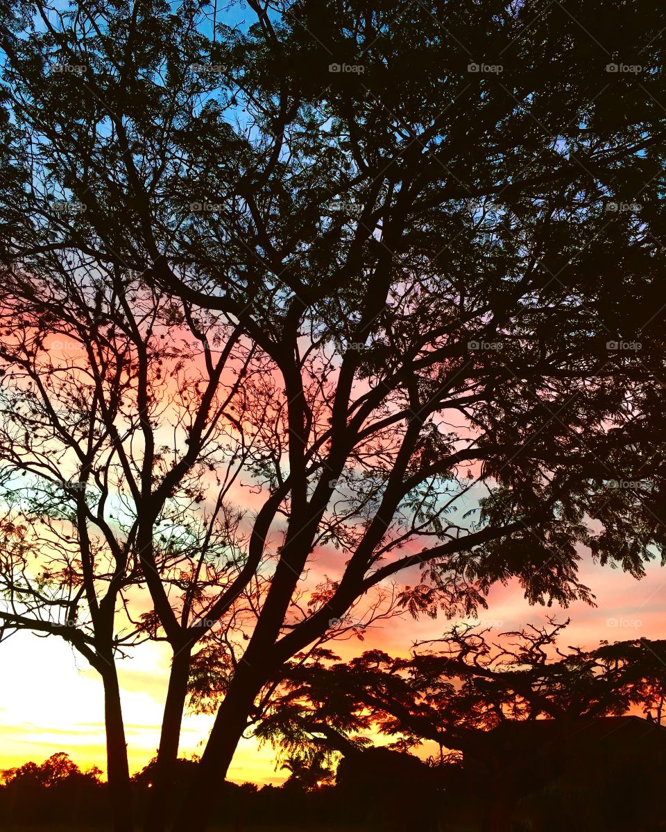 🌳Um #céu colorido totalmente inspirador!
Como não contemplar?
🙌🏻
#natureza #paisagem #fotografia #mobgrafia #inspirador #sky #landscapes #morning #amanhecer #picture #photography