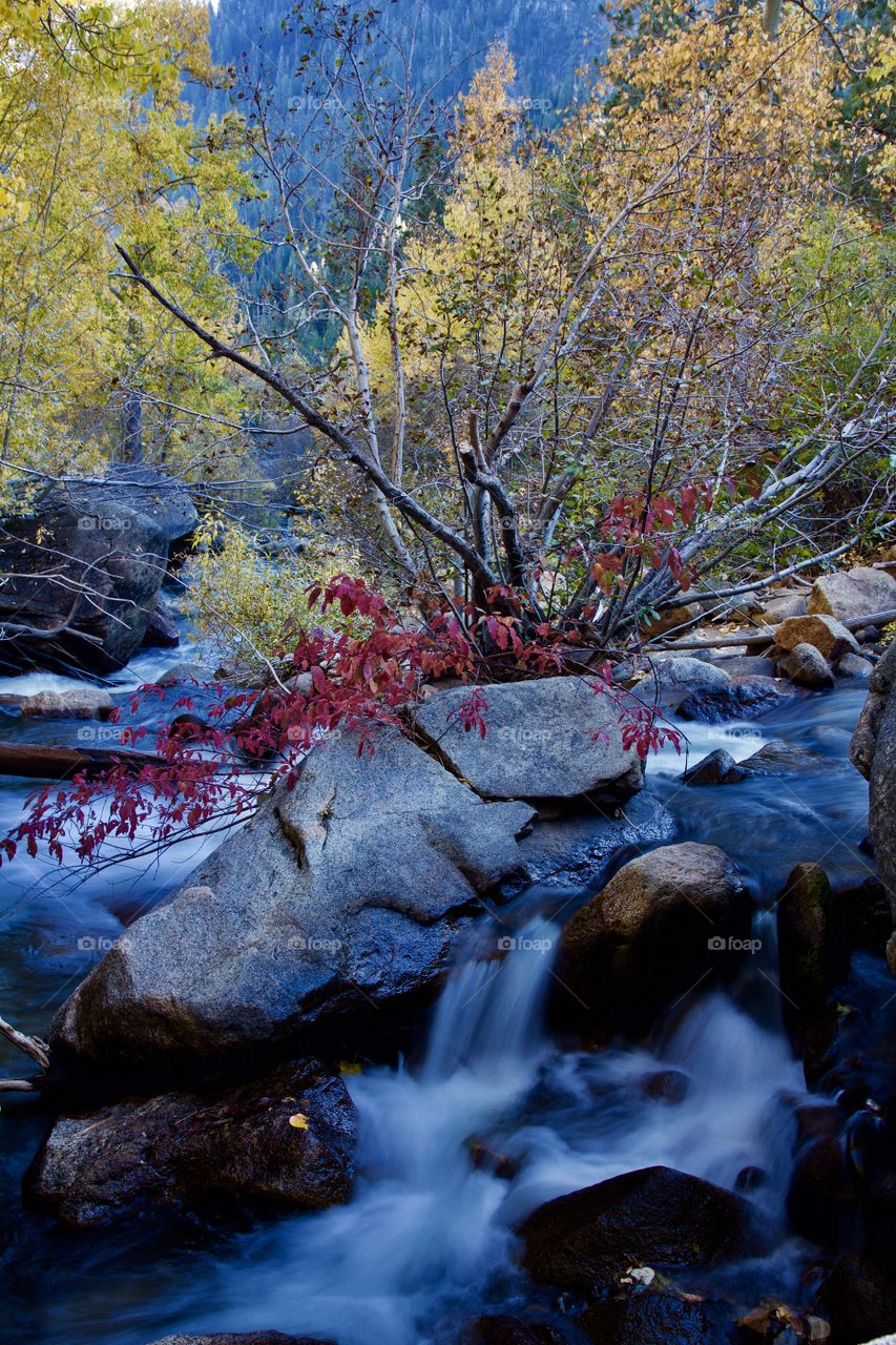 Fall on the Carson River
