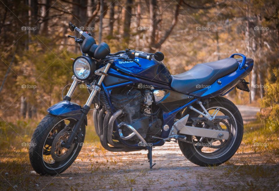 "Suzuki GSF600 Bandit"