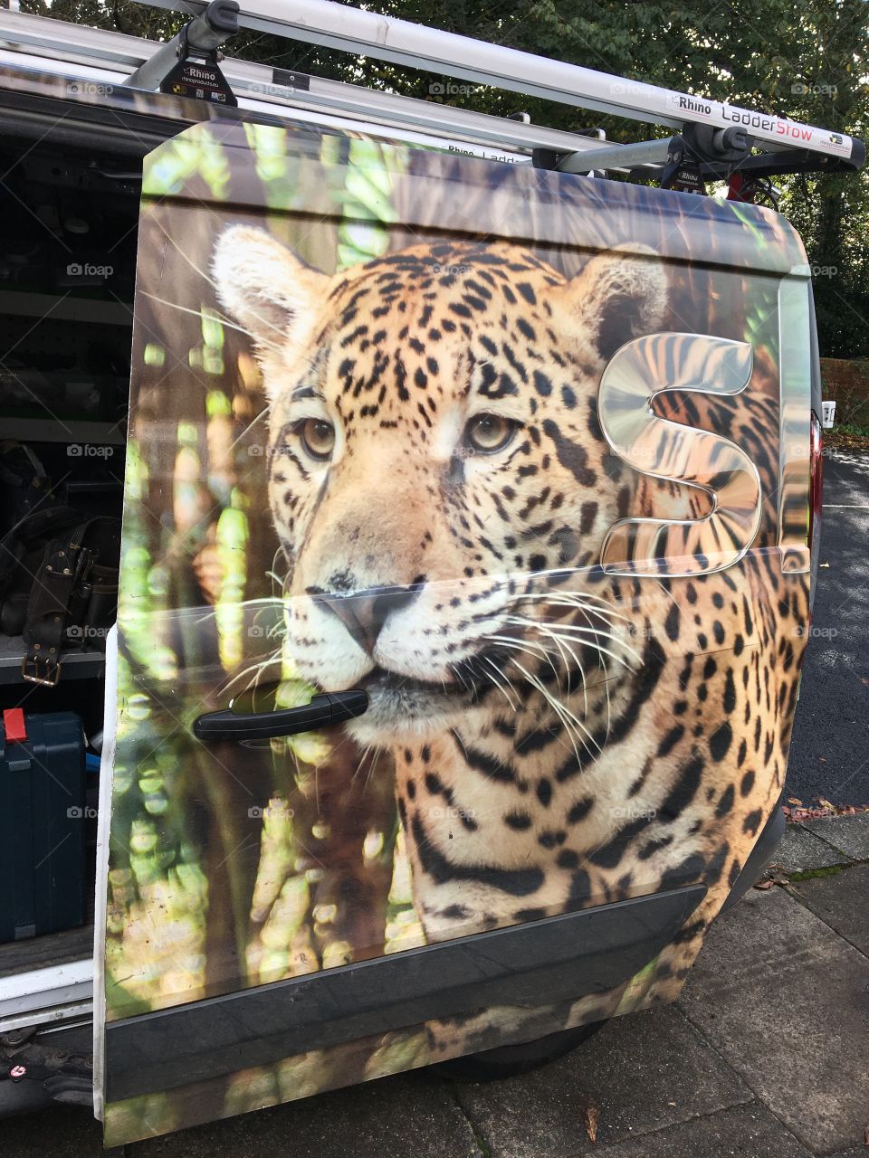 Beautiful eye catching SKY Van ... Leopard graffix makes it stand out 