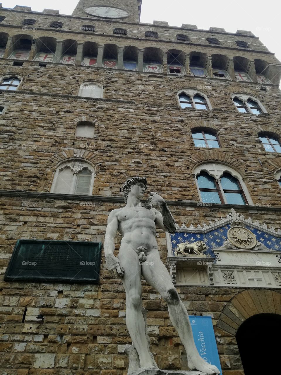 David di Michelangelo, Florence.