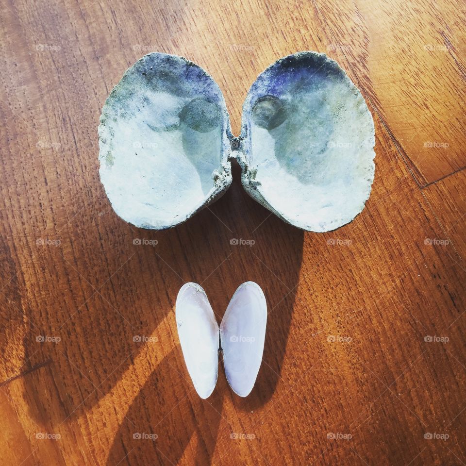 'Angel Wings' 

Still-hinged clam shells collected from Rawai Beach, Phuket