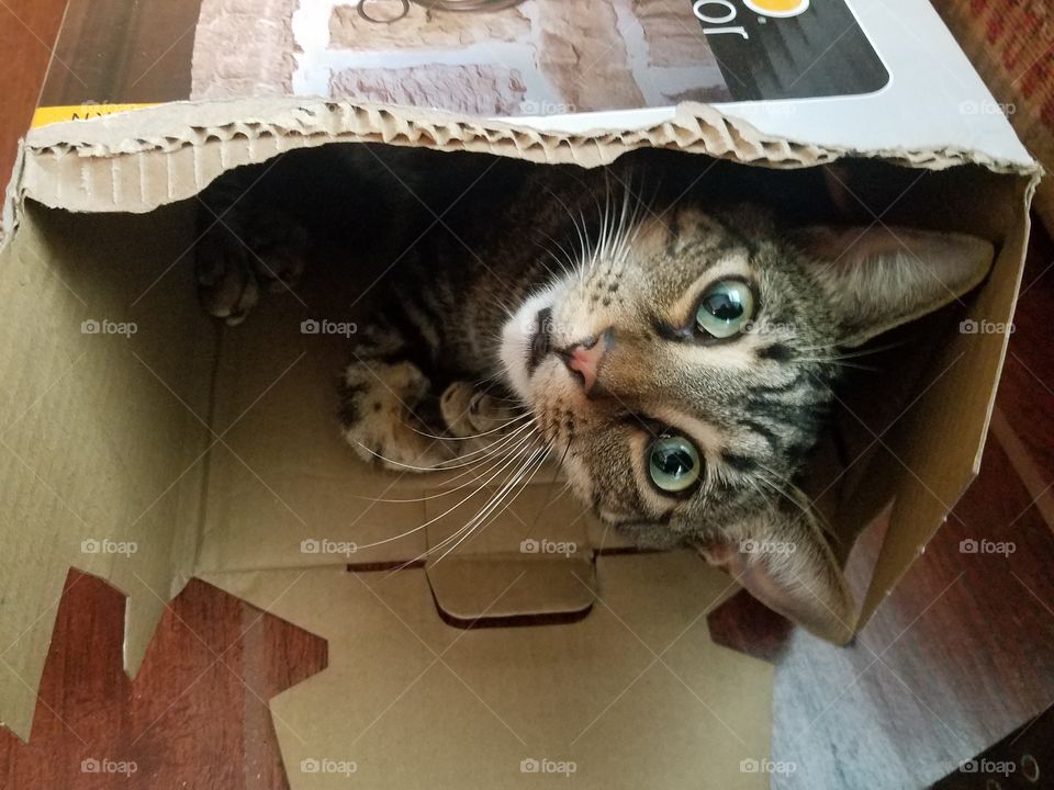 What are you looking at?