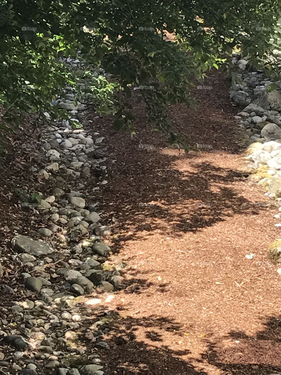 A nice little trail for hiking on.