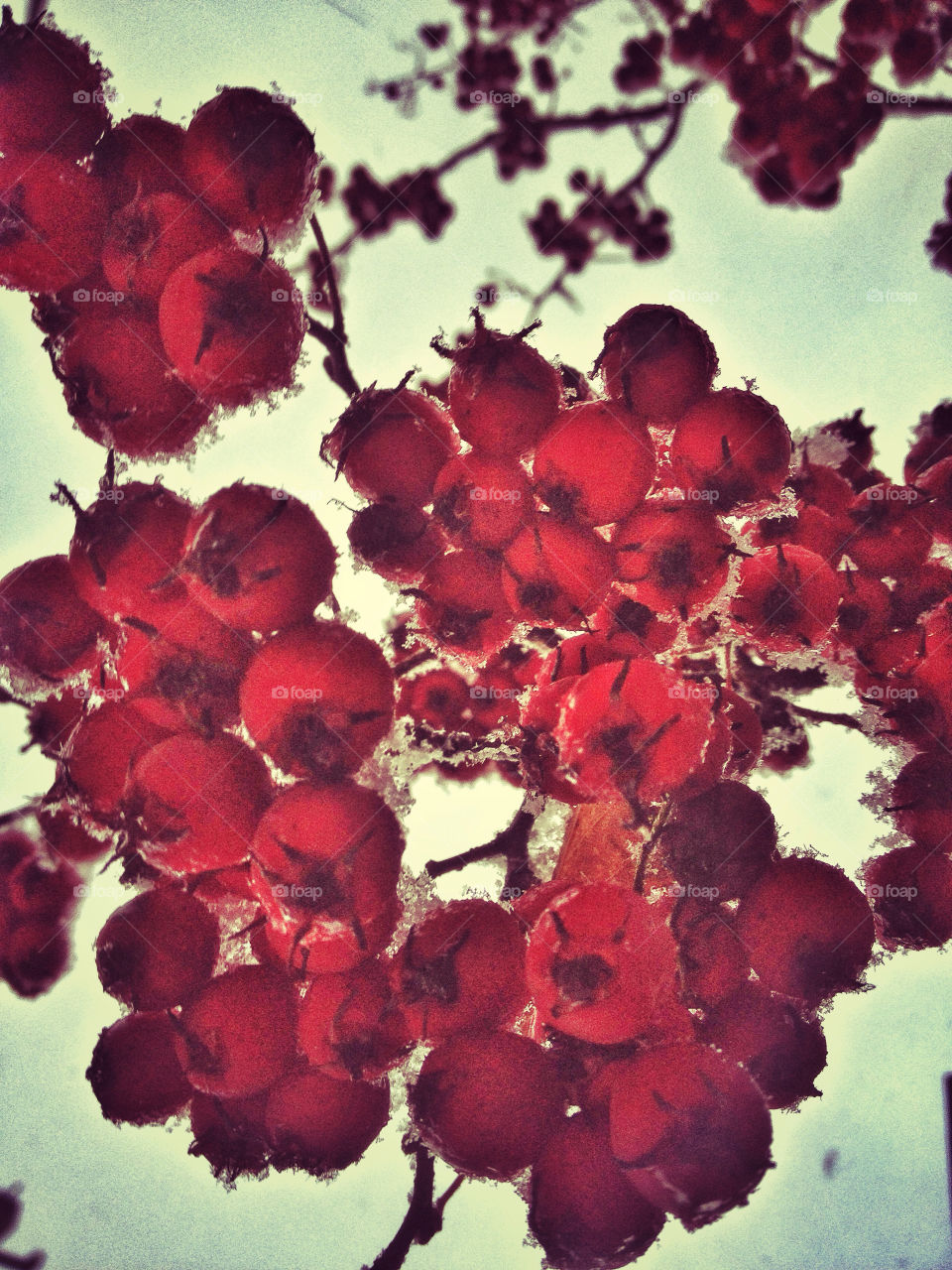 snow winter red ice by vsusov