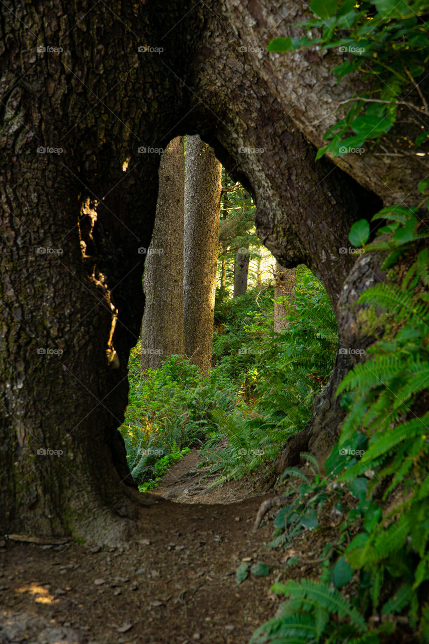 Entrance to Middle Earth