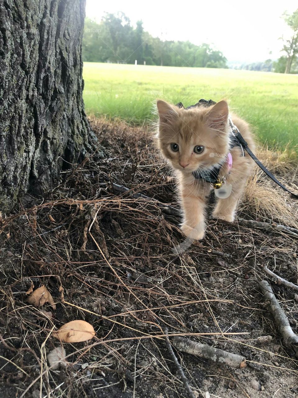 Schöne photos zu machen und anzuschauen, das liebe ich so sehr...