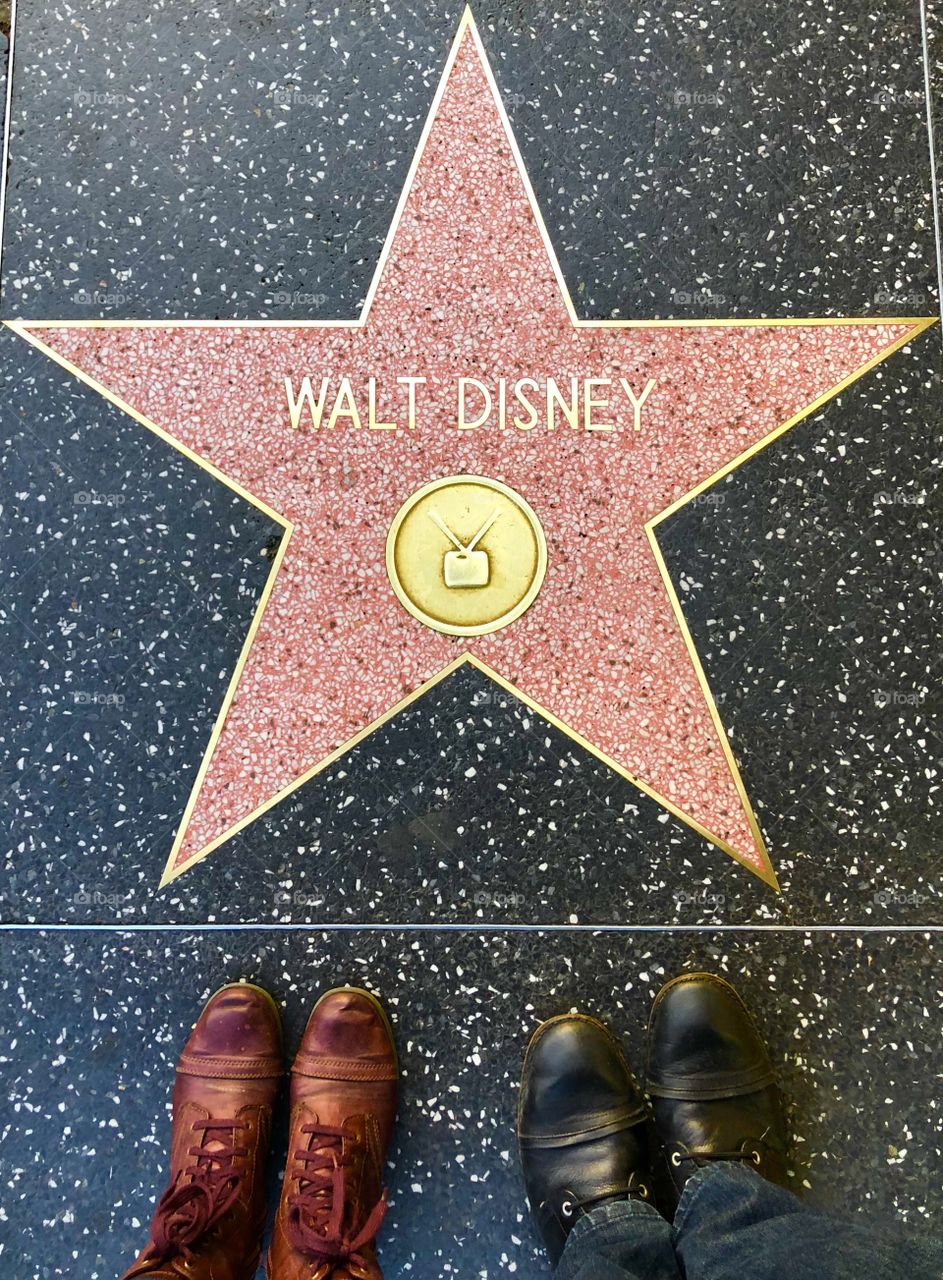 Disneyland:  Where our love story began! 