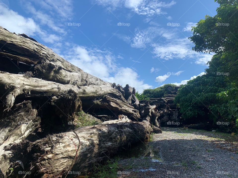 Big truck on the ground in Taiwan 