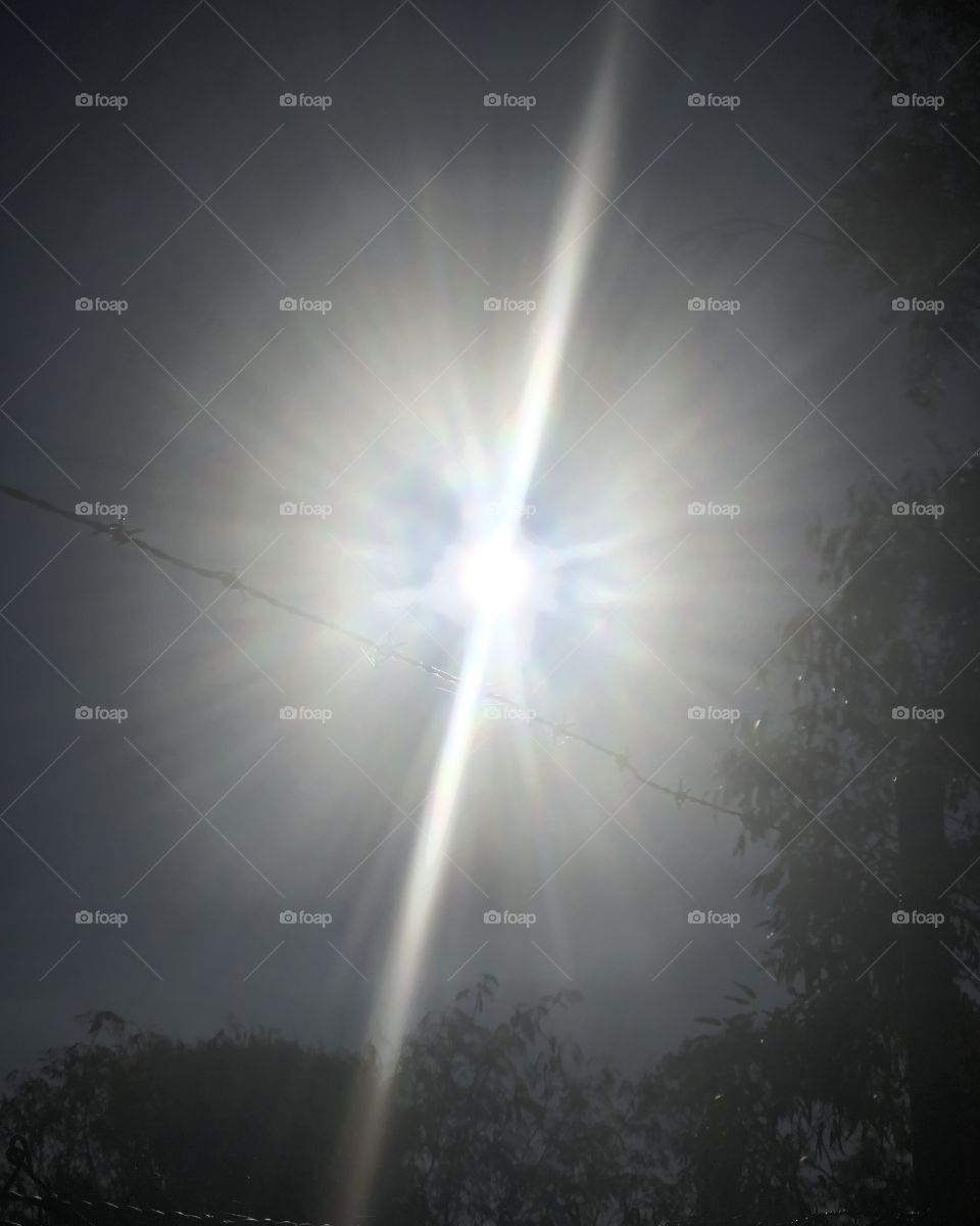 Sun