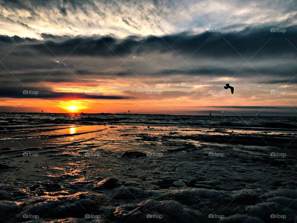 Stormy sunrise in Florida with a seagull flying through the shot