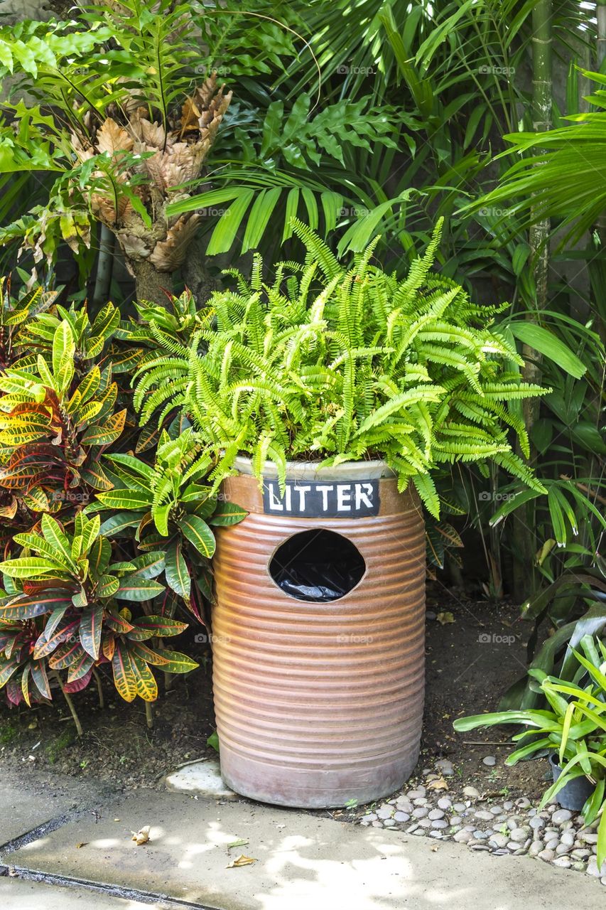 Earthenware litter bin with green plant