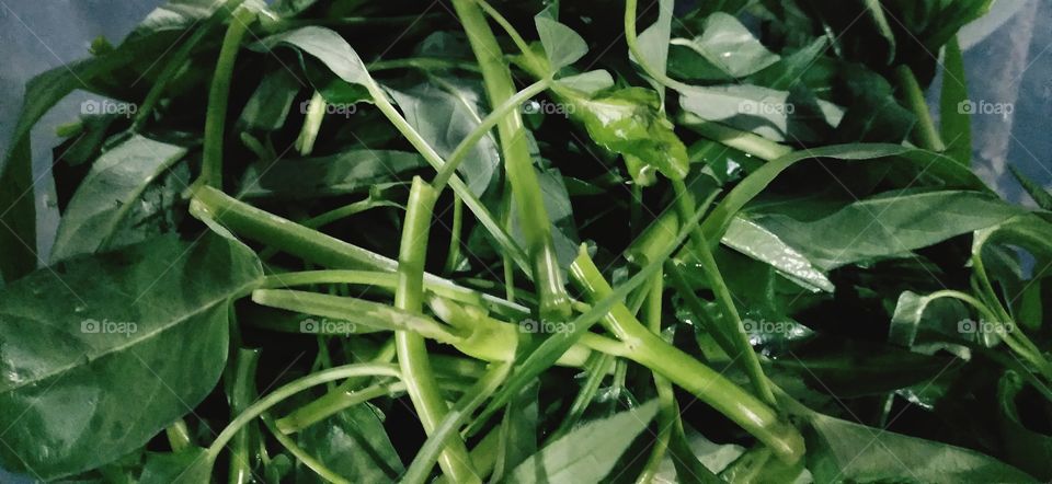 Water spinach contains fiber, vitamin A, vitamin C, potassium, iron, calcium, phosphorus, and antioxidant compounds in kale can provide many health benefits.