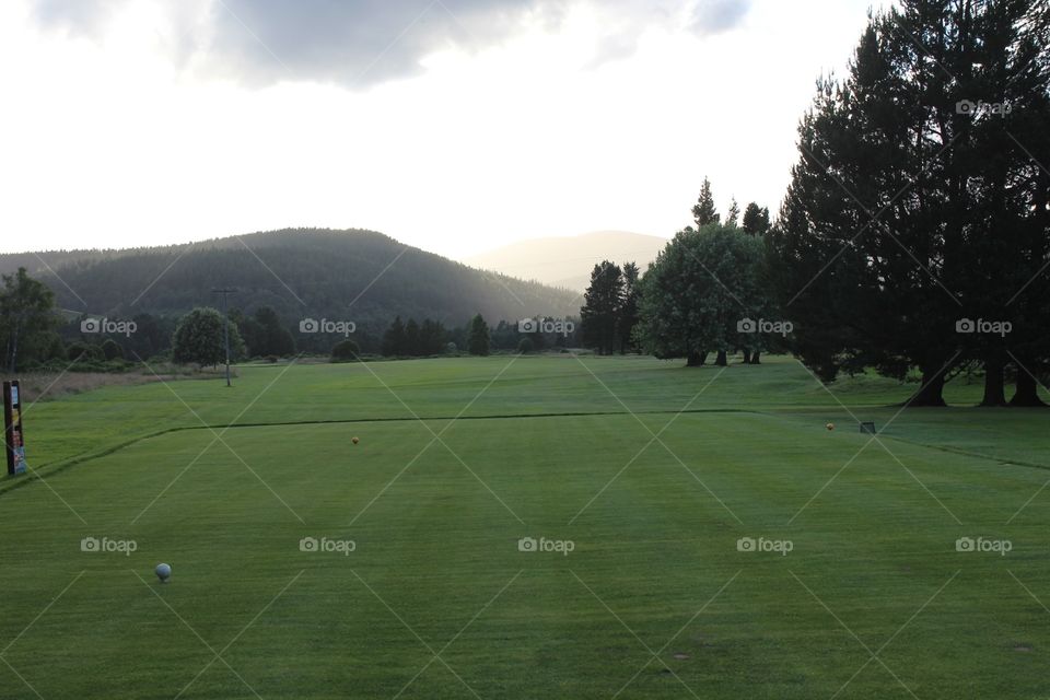 Golf, Landscape, Tree, Golfer, Putt